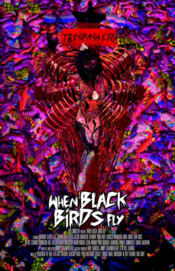 Когда черные птица летают / When Black Birds Fly (2016)